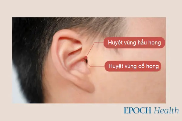 Bạn bị đau họng? Hãy thử các phương pháp đơn giản mà hiệu quả này
