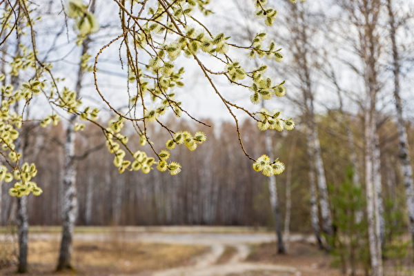 Nhân sinh cảm ngộ: Quay lại thuở xưa