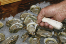 Hàu được trưng bày ở Apalachicola, Florida, trong một bức ảnh tư liệu. (Ảnh: Phil Sears/Ảnh AP)