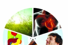 Thuật ngữ 'Khí' đề cập đến nhiều nghĩa, bao gồm: 1. Năng lượng lưu thông xung quanh cơ thể. 2. Năng lượng bên trong làm ấm và làm mát cơ thể. 3. Không khí hít thở. 4. Cảm xúc của con người. 5. Năng lượng duy trì chức năng của mọi cơ quan. (Ảnh: photos.com)