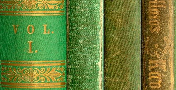 Nhân viên quản lý tại Bảo tàng Winterthur của Delaware nhận thấy lớp sơn màu xanh lá cây bong ra khỏi bìa, từ đó phát hiện ra những cuốn sách chứa chất độc. (Ảnh: Thư viện Winterthur)