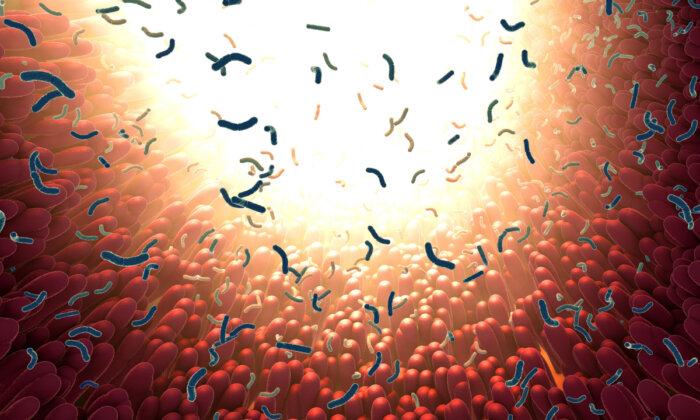 (Ảnh: Christoph Burgstedt/Shutterstock)