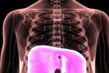 (Ảnh: Life science/Shutterstock)