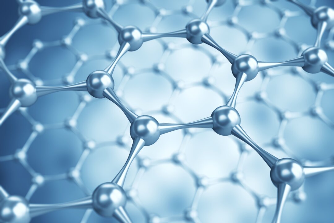 (Ảnh: Anna Kireieva/Shutterstock)