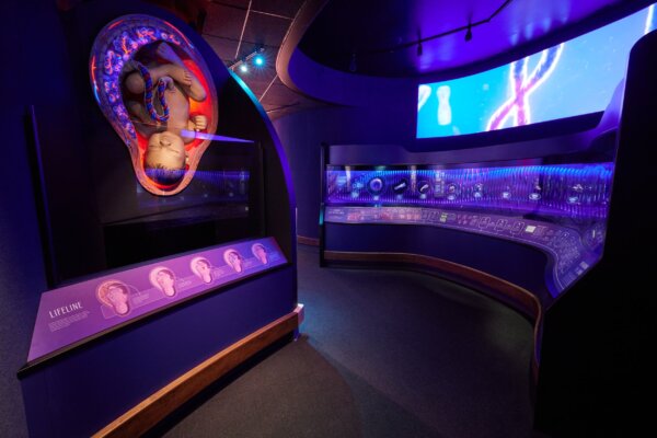 Du khách lái xe 45 phút về phía bắc Công viên Ark Encounter để đến Bảo tàng Sáng Thế. (Ảnh: Đăng dưới sự cho phép của Answers in Genesis)