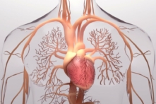 (Ảnh: Design_Cells/Shutterstock)