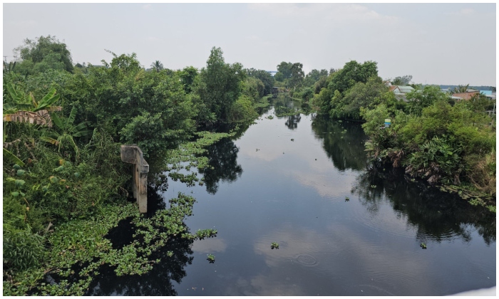 Nhà máy ở Long An xả thải