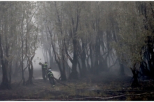 Nguyên nhân gây cháy tại vườn quốc gia Tràm Chim ở Đồng Tháp