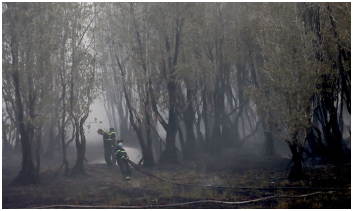 cháy vườn quốc gia Tràm Chim