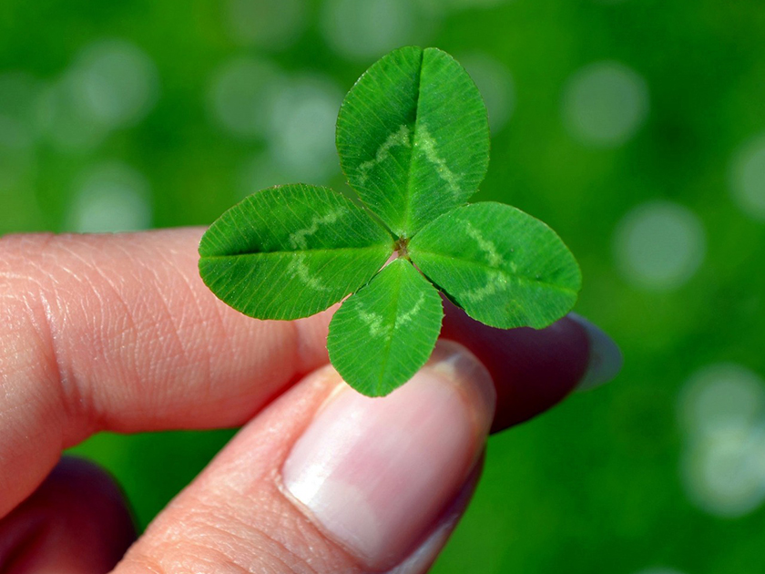 Trong họa có phúc!