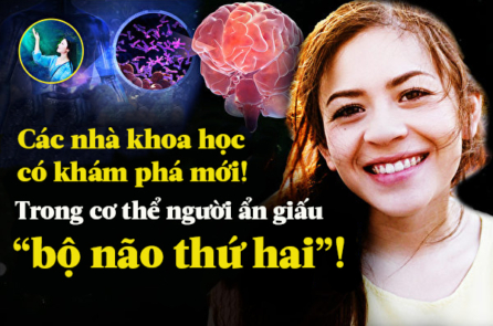 Bí ẩn chưa có lời giải: Trong bụng người còn có một ‘bộ não’ khác!