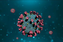 Virus COVID-19. (Ảnh: Kitreel/Shutterstock)