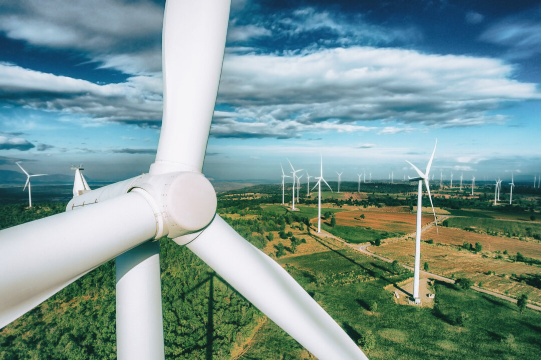 (Ảnh: Summit Art Creations/Shutterstock)