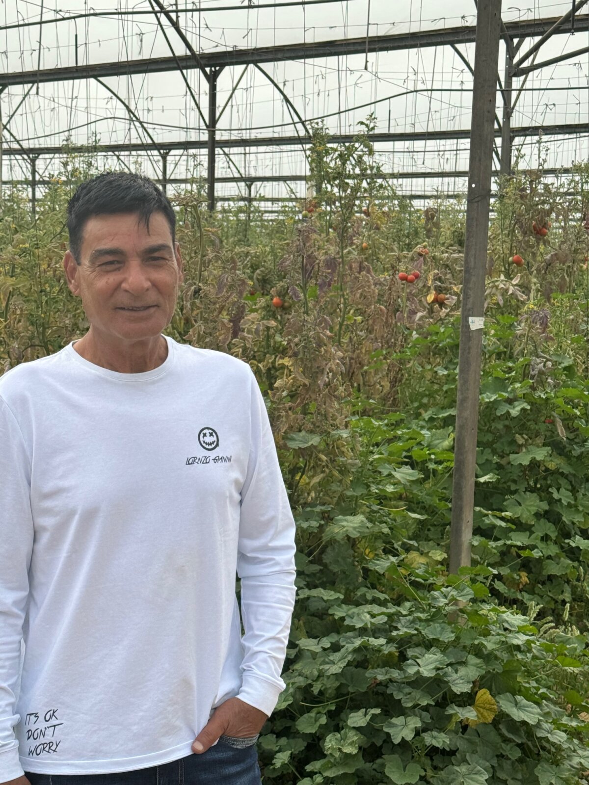 Ông Asher Tamsut, nông dân Israel, trên cánh đồng cà chua không có nhân công để chăm sóc, ở Moshav Ami'oz, Israel hôm 06/03/2024. (Ảnh: Dan M. Berger/The Epoch Times)