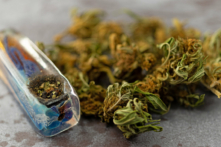 (Ảnh: Louella938/Shutterstock)