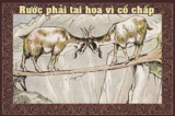 Truyện ngụ ngôn Aesop: Hai chú Dê băng qua vực sâu