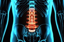 (Ảnh: Life science/Shutterstock)