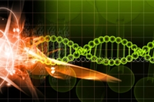 (Ảnh: Creations/Shutterstock)