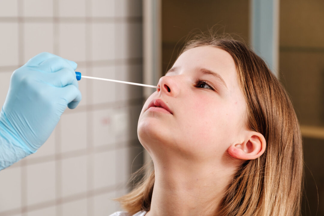 (Ảnh: serhii.suravikin/Shutterstock)