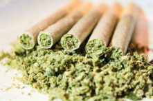 (Ảnh: Vuk Stajic/Shutterstock)