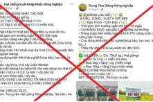 Việt Nam: Bắt giữ nhóm lừa bán thóc giống trên mạng chiếm đoạt gần 8 tỷ đồng