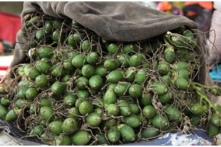 Việt Nam: Giá cau tươi tăng cao kỷ lục, thương lái tranh mua để giữ mối
