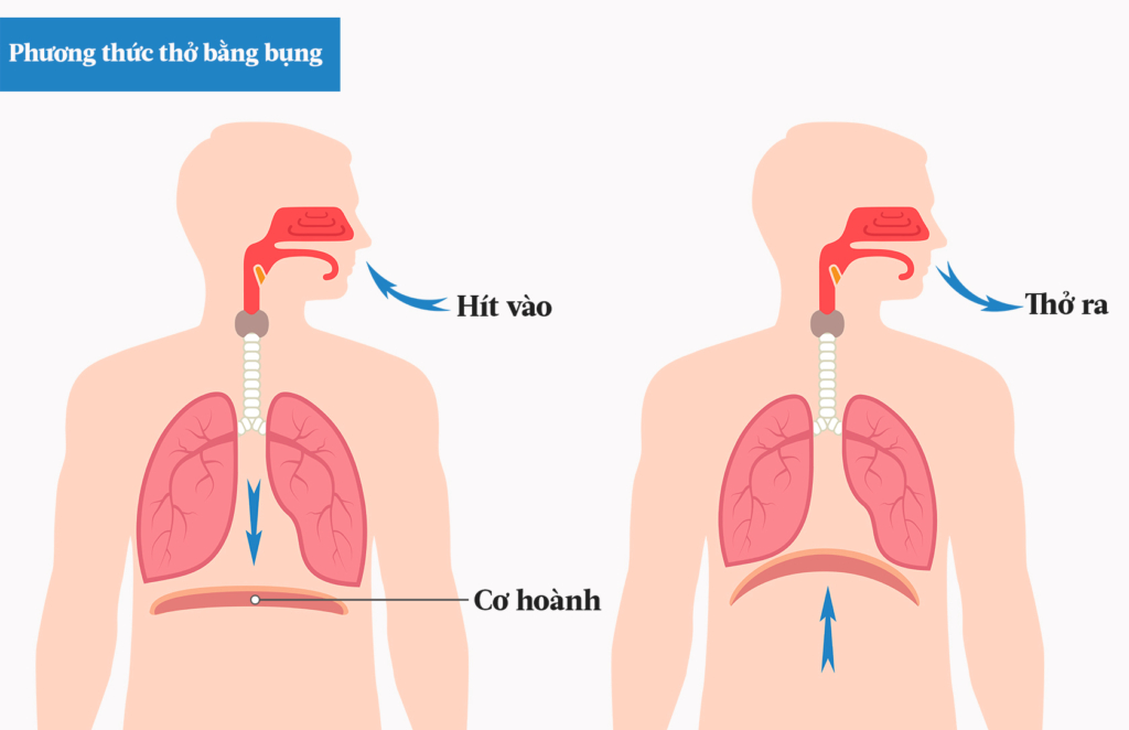 Thở bụng là một bài tập nhịp nhàng có thể làm tăng tiết serotonin trong não và giảm căng thẳng. (Ảnh: Shutterstock/The Epoch Times)