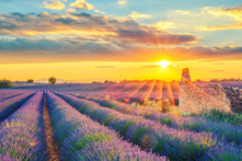 Nhân sinh cảm ngộ: Bỏ lỡ màn đặc sắc nhất của lễ hội