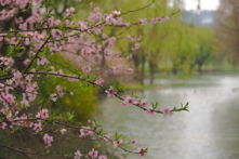 Nhân sinh cảm ngộ: Đập cát trên sông