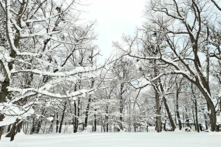 Cuộc gặp gỡ kỳ lạ trong một không gian nhưng có hai thời không. (Ảnh: Tôn Minh Quốc/The Epoch Times)