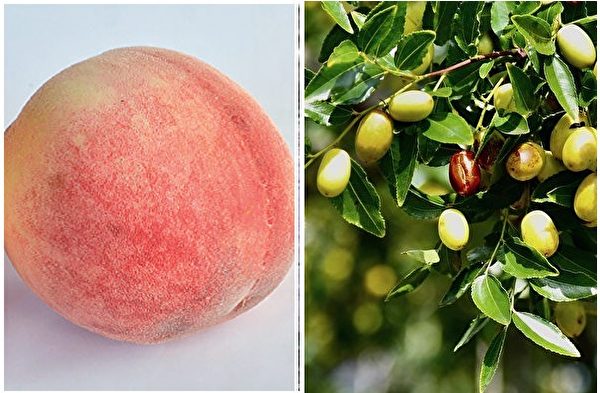 Quả táo và quả đào đồng âm với “tảo đào”, ngụ ý nhắc nhở cứu con người. (Ảnh: The Epoch Times tổng hợp)