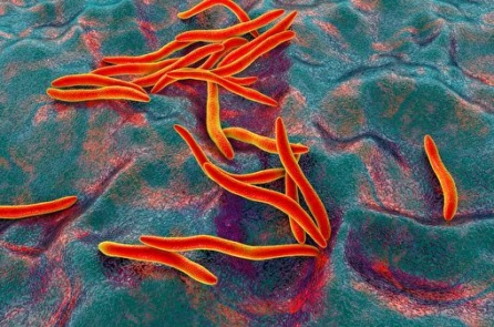 Nghiên cứu mới: Ung thư đại tràng có thể liên quan đến vi khuẩn khoang miệng