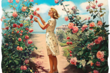 Bạn có thể trồng hoa hồng, điều đó không phức tạp như bạn nghĩ