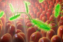 (Ảnh: Kateryna Kon/Shutterstock)