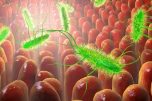 Loại thuốc kháng sinh mới chỉ nhắm đến vi khuẩn gây hại