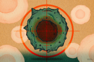 Giảm tế bào lão hóa có thể giúp chúng ta trẻ trung hơn