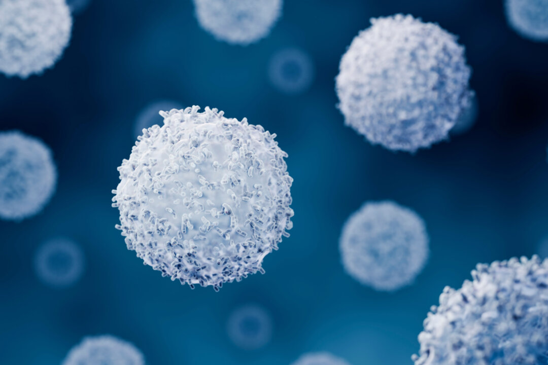 (Ảnh: ART-ur/Shutterstock).