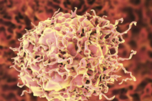 (Ảnh: Kateryna Kon/Shutterstock)