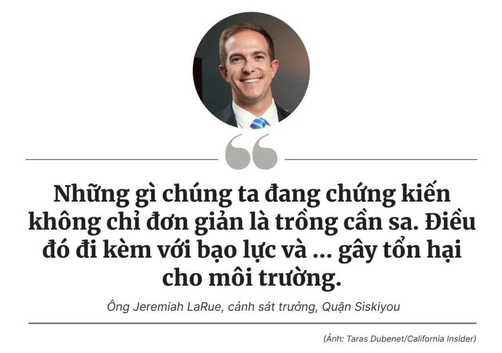 Một vùng đất hoang vu ở California lại trở thành điểm nóng cho cần sa chợ đen như thế nào