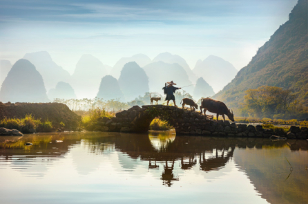 Lâm Hiếu liêm được Thần minh tán dương và bảo hộ